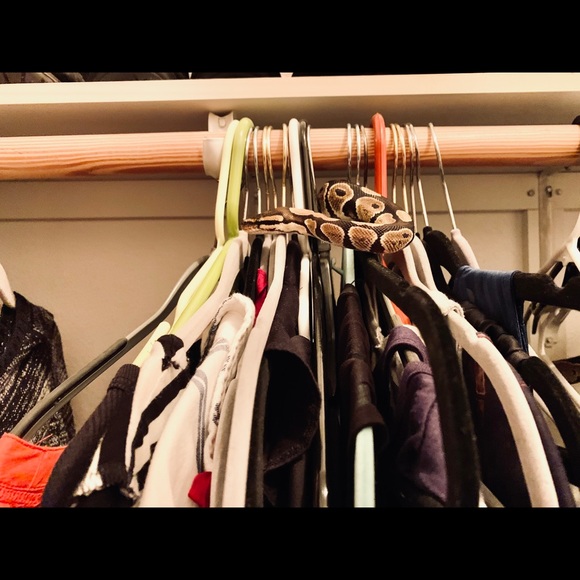 Meet your Posher, Alicia - Picture 6 of 8